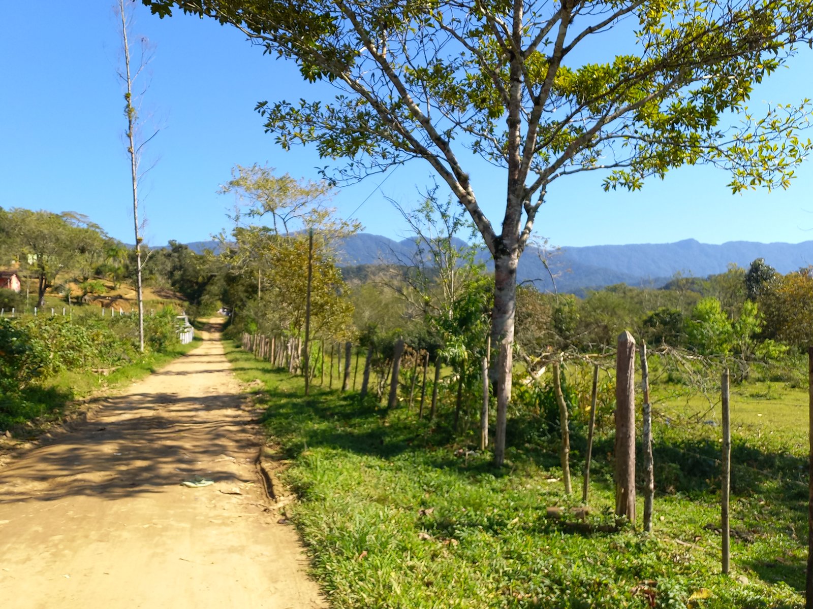 katia_20260801_101626.jpg