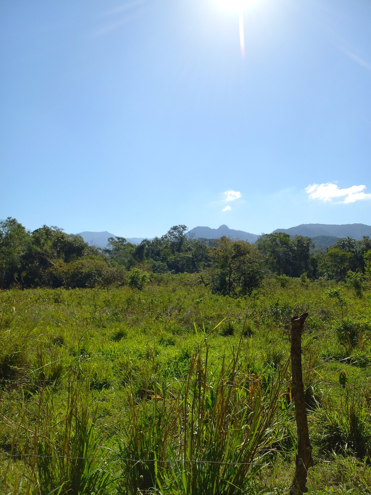 katia_20260801_103030.jpg