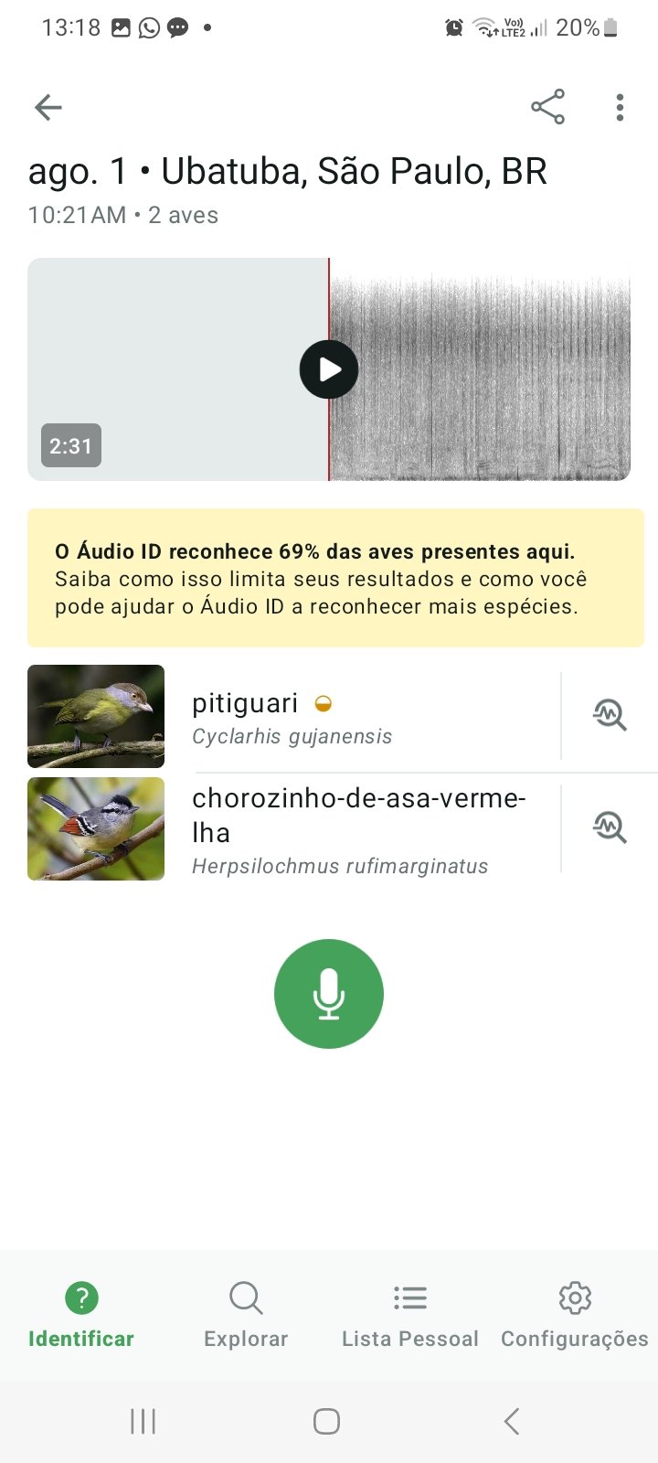 Registro Bioacústico no Merlin Bird ID - Registro 2